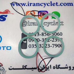 دیلایت و نئون داخل راهنما انواع موتور سیکلت بلوبری (پک 4 عددی)