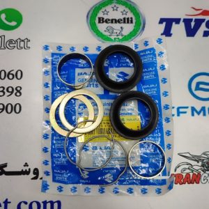 لوازم کمک جلو موتور سیکلت پالس یوجی فر و 220 (خار و واشر و گردگیر ) اصلی